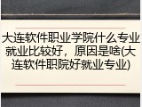 大连软件职业学院什么专业就业比较好，原因是啥(大连软件职院好就业专业)