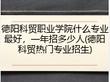 德阳科贸职业学院什么专业最好，一年招多少人(德阳科贸热门专业招生)