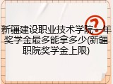 新疆建设职业技术学院一年奖学金最多能拿多少(新疆职院奖学金上限)