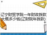 辽宁财贸学院一年财政拨款大概多少钱(辽财院年拨款)