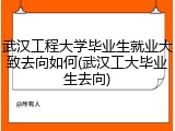武汉工程大学毕业生就业大致去向如何(武汉工大毕业生去向)