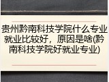 贵州黔南科技学院什么专业就业比较好，原因是啥(黔南科技学院好就业专业)