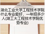 湖北工业大学工程技术学院什么专业最好，一年招多少人(湖工大工程技术学院优势专业)