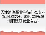 天津滨海职业学院什么专业就业比较好，原因是啥(滨海职院好就业专业)