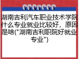 湖南吉利汽车职业技术学院什么专业就业比较好，原因是啥("湖南吉利职院好就业专业")