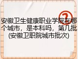 安徽卫生健康职业学院在哪个城市，是本科吗，第几批(安徽卫职院城市批次)