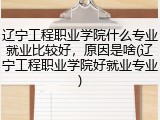 辽宁工程职业学院什么专业就业比较好，原因是啥(辽宁工程职业学院好就业专业)