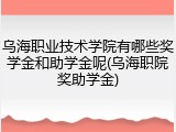 乌海职业技术学院有哪些奖学金和助学金呢(乌海职院奖助学金)