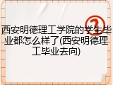 西安明德理工学院的学生毕业都怎么样了(西安明德理工毕业去向)