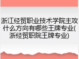 浙江经贸职业技术学院主攻什么方向有哪些王牌专业(浙经贸职院王牌专业)