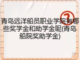 青岛远洋船员职业学院有哪些奖学金和助学金呢(青岛船院奖助学金)
