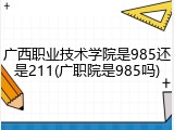 广西职业技术学院是985还是211(广职院是985吗)