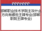 邯郸职业技术学院主攻什么方向有哪些王牌专业(邯郸职院王牌专业)
