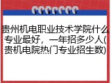贵州机电职业技术学院什么专业最好，一年招多少人(贵机电院热门专业招生数)