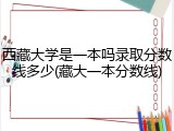 西藏大学是一本吗录取分数线多少(藏大一本分数线)