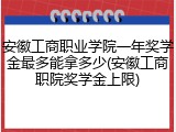 安徽工商职业学院一年奖学金最多能拿多少(安徽工商职院奖学金上限)