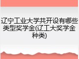 辽宁工业大学共开设有哪些类型奖学金(辽工大奖学金种类)