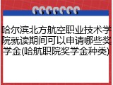 哈尔滨北方航空职业技术学院就读期间可以申请哪些奖学金(哈航职院奖学金种类)