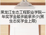 黑龙江生态工程职业学院一年奖学金最多能拿多少(黑生态奖学金上限)