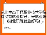 湖北生态工程职业技术学院有没有就业指导，好就业吗(湖北职院就业好吗)