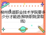 柳州铁道职业技术学院要多少分才能进(柳铁职院录取线)