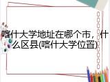 喀什大学地址在哪个市，什么区县(喀什大学位置)