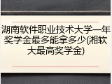 湖南软件职业技术大学一年奖学金最多能拿多少(湘软大最高奖学金)