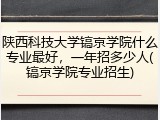 陕西科技大学镐京学院什么专业最好，一年招多少人(镐京学院专业招生)