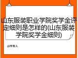 山东服装职业学院奖学金评定细则是怎样的(山东服装学院奖学金细则)
