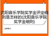 沈阳音乐学院奖学金评定细则是怎样的(沈阳音乐学院奖学金细则)