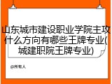 山东城市建设职业学院主攻什么方向有哪些王牌专业(城建职院王牌专业)