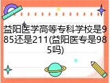 益阳医学高等专科学校是985还是211(益阳医专是985吗)