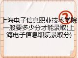 上海电子信息职业技术学院一般要多少分才能录取(上海电子信息职院录取分)