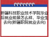 新疆科技职业技术学院毕业后就业前景怎么样，毕业生去向(新疆职院就业去向)