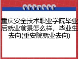 重庆安全技术职业学院毕业后就业前景怎么样，毕业生去向(重安院就业去向)