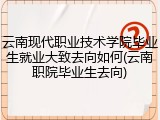 云南现代职业技术学院毕业生就业大致去向如何(云南职院毕业生去向)