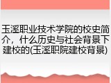 玉溪职业技术学院的校史简介，什么历史与社会背景下建校的(玉溪职院建校背景)