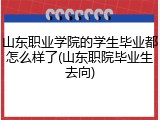 山东职业学院的学生毕业都怎么样了(山东职院毕业生去向)