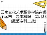 云南文化艺术职业学院在哪个城市，是本科吗，第几批(昆艺专科二批)