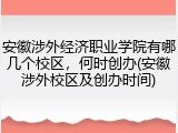 安徽涉外经济职业学院有哪几个校区，何时创办(安徽涉外校区及创办时间)