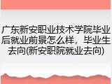 广东新安职业技术学院毕业后就业前景怎么样，毕业生去向(新安职院就业去向)
