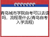 青岛城市学院自考可以去读吗，流程是什么(青岛自考入学流程)