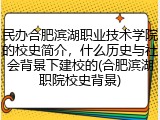 民办合肥滨湖职业技术学院的校史简介，什么历史与社会背景下建校的(合肥滨湖职院校史背景)