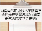 湖南电气职业技术学院奖学金评定细则是怎样的(湖南电气职院奖学金细则)