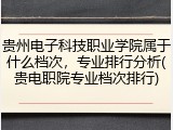 贵州电子科技职业学院属于什么档次，专业排行分析(贵电职院专业档次排行)