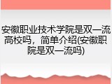 安徽职业技术学院是双一流高校吗，简单介绍(安徽职院是双一流吗)