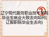 辽宁现代服务职业技术学院毕业生就业大致去向如何(辽服职院毕业生去向)