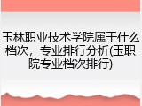 玉林职业技术学院属于什么档次，专业排行分析(玉职院专业档次排行)