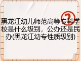 黑龙江幼儿师范高等专科学校是什么级别，公办还是民办(黑龙江幼专性质级别)