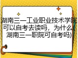 湖南三一工业职业技术学院可以自考去读吗，为什么(湖南三一职院可自考吗)
